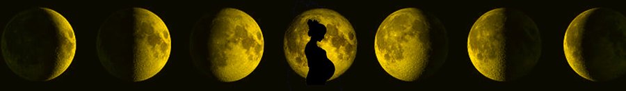 Lunar Age Calculator Fastest Way To Know Your Chinese Age