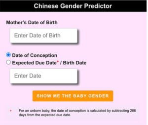 predictor